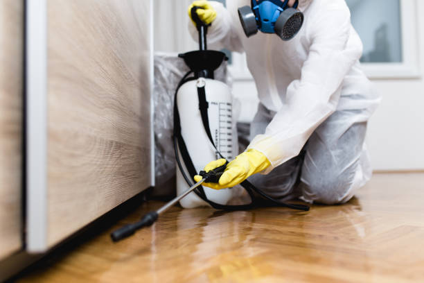 Best Emergency Pest Control  in Far Hills, NJ