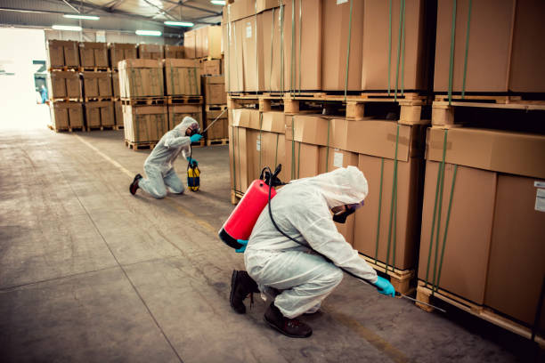 Best Wasp Removal Services  in Far Hills, NJ