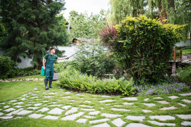 Best Mosquito Control Services  in Far Hills, NJ