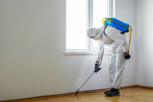 Best Insect Control  in Far Hills, NJ