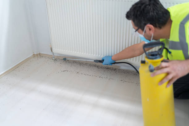 Best Local Pest Control Services  in Far Hills, NJ
