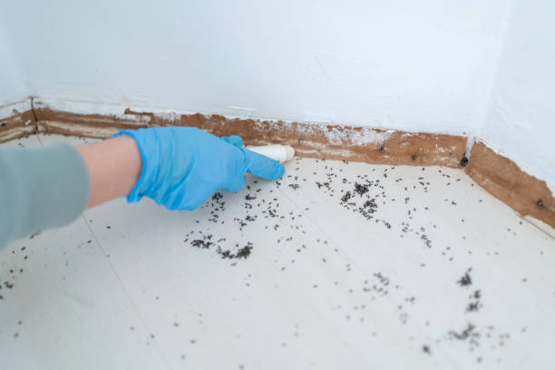 Best Pest Control Treatment  in Far Hills, NJ